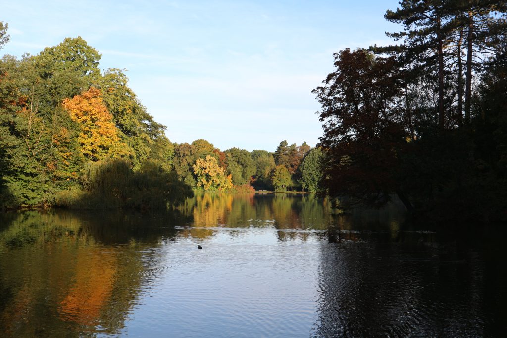 Herbststimmung am großen Stadtparkteich